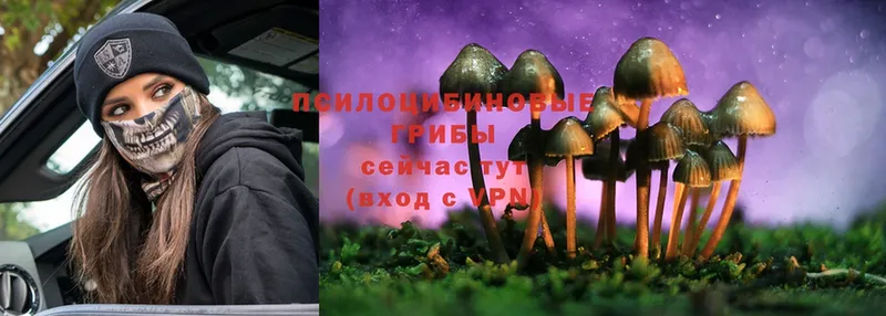 KRAKEN ссылки  даркнет телеграм  Галлюциногенные грибы Cubensis  Великие Луки 